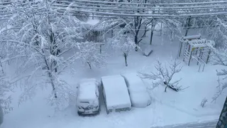 «На Новый год придет то, чего не было с 1937 года». Синоптики представили неожиданный прогноз