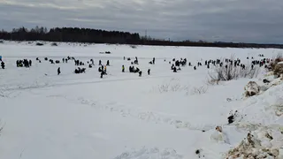 Больше сотни человек ловили «Трехозерского карася» в Коми