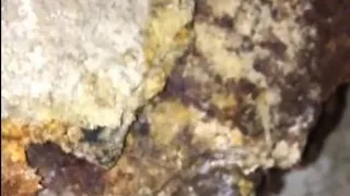 В квартире пожилой жительницы Рязани прорвало трубу из-за прогнившей трубы