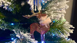 В ДУМ Татарстана разъяснили, можно ли мусульманам отмечать Новый год