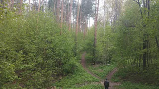 В Пензенской области открыли весеннюю охоту в ряде районов