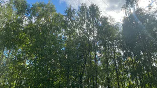 10 сентября принесет в Коми дожди, прохладу и перепад температур между районами в 10°C