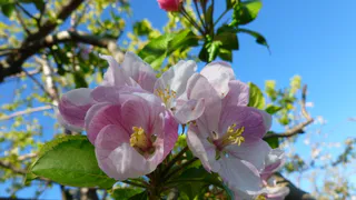 Нижнекамцы могут зарегистрировать брак, выбрав «красивую» дату