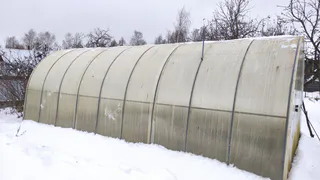 С зимы готовлюсь к новому сезону: превращаю любую грядку в плодородную: 5 простых приёмов работают годами