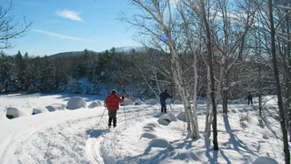 Россию накроет волна непогоды: метели, ураганный ветер и аномальные морозы - свежий прогноз по регионам
