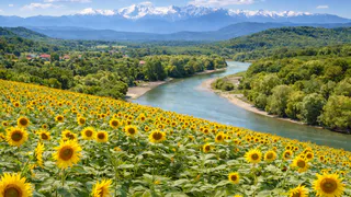 Многие едут в станицы Кубани ради климата — а потом жалеют: 3 главные ошибки при переезде