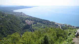 «Вонючее море и мерзкие люди»: российские туристы честно рассказали об отдыхе на черноморских курортах в этом году