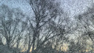 Ой, мороз, мороз: 23 февраля в Рязанской области похолодает до -34 градусов