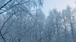 17 декабря Коми останется во власти морозов