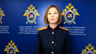 Прокуратура Владимира заинтересовалась делом родителей, вынесших ребёнка без одежды на мороз