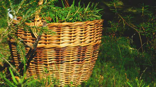 В Чувашии лето решило вернуться на выходные: погода 6 сентября