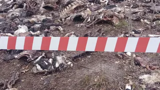 В Чувашии ликвидируют незаконный сброс опасных биоотходов