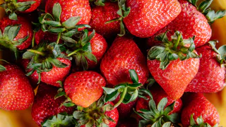 Опытные садоводы давно применяют эту тактику: они закапывают это под каждую куст клубники и получают обильный урожай