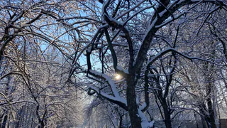 Мощный перепад температуры произойдет в Пензе ночью 14 января