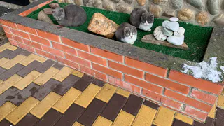 Перестал покупать тротуарную плитку — замешал этот раствор и сэкономил втрое: дорожка пережила первую зиму без трещин