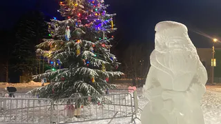 В Коми началась приёмка новогодних городков и ёлок