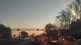 С 12 марта начнут аннулировать права выезжающим за город: водителей ждет новый сюрприз