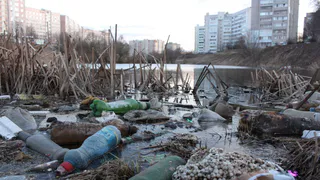 Забота об экологии: в рязанских магазинах появятся пункты приёма тары