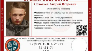 Под Рязанью пропал 15-летний мальчик