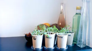 Уксус: Простой способ проверки кислотности почвы в домашних условиях