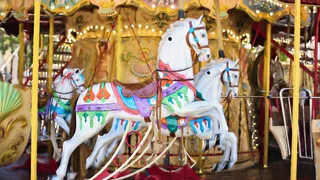 В Рязани 340 беженцев с Украины посетили местный цирк