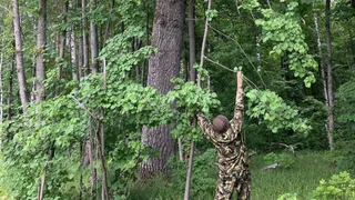 В Пензенской области нашли дуб и сосны старше 200 лет