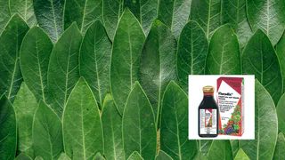 Живые витамины от гомеопатического центра Рязани