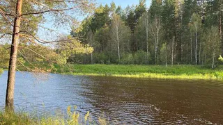 Под Рязанью обнаружили труп 38-летнего рыбака с огнестрельным ранением