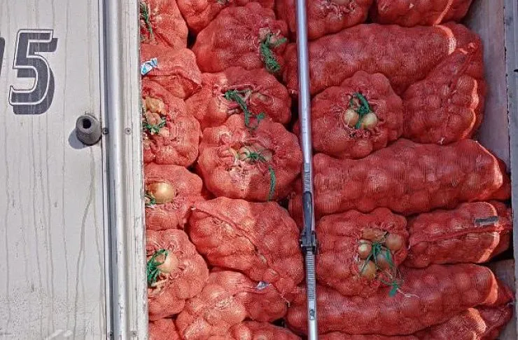 38 тонн казахстанского лука не пропустили на Южный Урал из-за проблем с документами