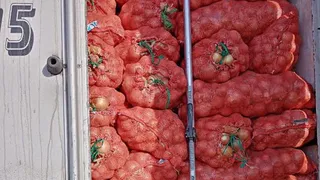 38 тонн казахстанского лука не пропустили на Южный Урал из-за проблем с документами