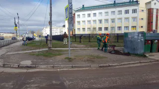 Масштабная уборка: как сотрудники ГК "Зеленый сад" помогали приводить в порядок улицы города