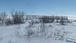 "Почти вся Россия окрасится в красный цвет": Вильфанд предупредил о мощной волне тепла с Атлантики