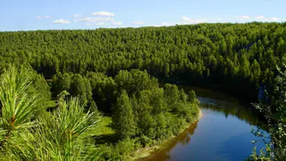 Минприроды Коми пресекло незаконную рыбалку в заповедных заказниках