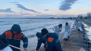 Во Владимирской области набирают волонтеров для устранения последствий аварии в Черном море