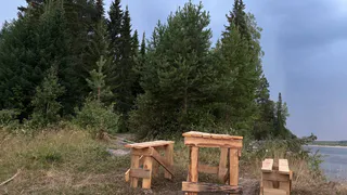 Два фермера осознали, что сельским хозяйством семью не прокормишь, собрали вещи, семьи, и ушли в лес: вот что они придумали