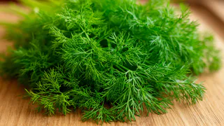 Укроп ращу только так - дедушкин метод: станет густым и сочным всего за 3 дня