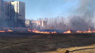 Не трогайте сухую траву! Рязанские пожарные штрафуют поджигателей