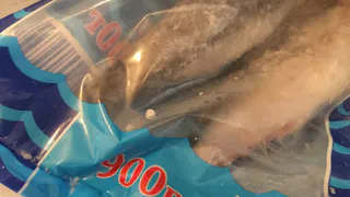 Что меняется в сентябре. Важные законы, которые повлияют на нашу жизнь