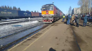 В Челябинской области в 2024 год под колесами поездов погибли десять человек