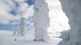Чудеса можно увидеть своими глазами: фотовыставка "Природа. Традиции. Люди" в Рязани