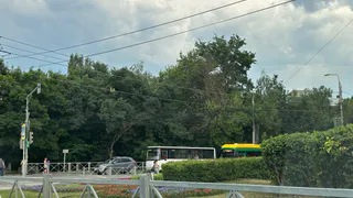 С завтрашнего дня: Сбербанк предупредил россиян, на чьих телефонах есть приложение "Сбер Онлайн"