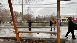 Мэрия Рязани решила не возвращать остановку «Памятник Павлову» на прежнее место