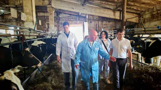 В Коми готовят масштабный проект: ферма на 1200 коров появится в 2026 году