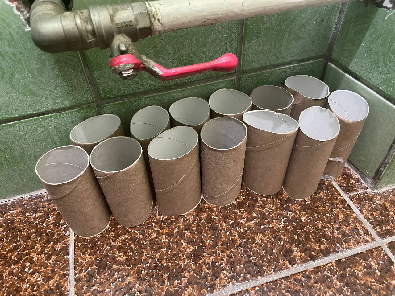 Втулки от туалетной бумаги храню как зеницу ока: очень полезная вещь для решения многих проблем. Применяю практически для всего