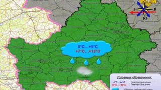 Жителей Брянской области 25 октября ожидает температура до +12 градусов