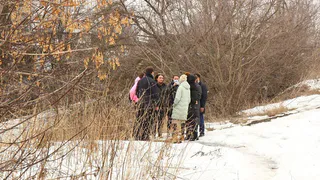 Ещё один приют: дом для бродячих животных может появиться в Храпове
