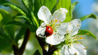 Май в столице и окрестностях будет далеко не жарким