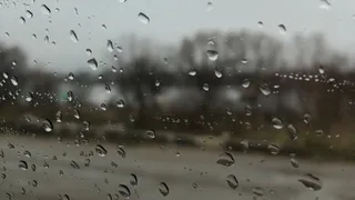 Берите зонт: в Рязани ожидаются дожди и грозы