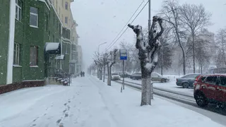 Когда накроют обильные снегопады и ощутимые морозы - прогноз до конца недели. Синоптики ошарашили