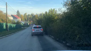 «Напишите заявку, а мы её рассмотрим»: горожане жалуются на аварийные деревья по улице Серёжина Гора